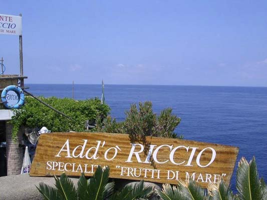 Fotografie Ristorante Add'O Riccio isola Capri specialità pesce e frutti di mare